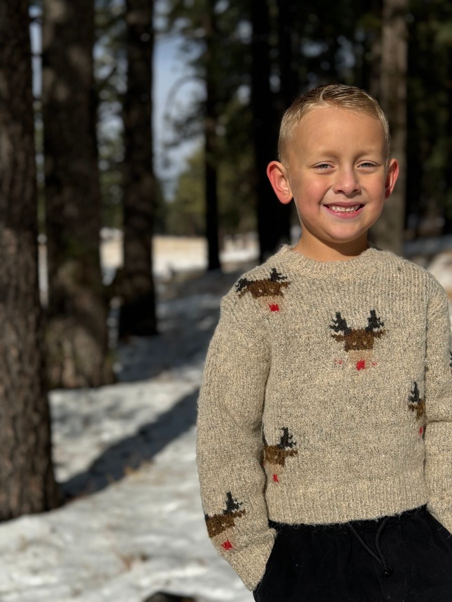 Ruby Beige Reindeer Sweater