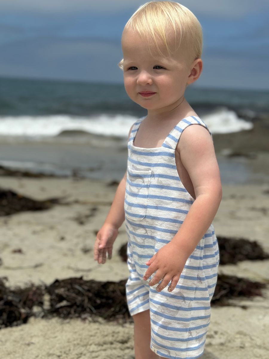 Dandy Jersey Overalls (Striped Whales)
