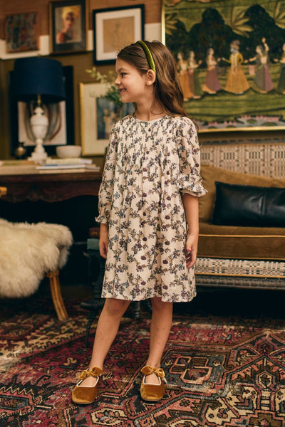 Charlotte Dress | Harvest Toile