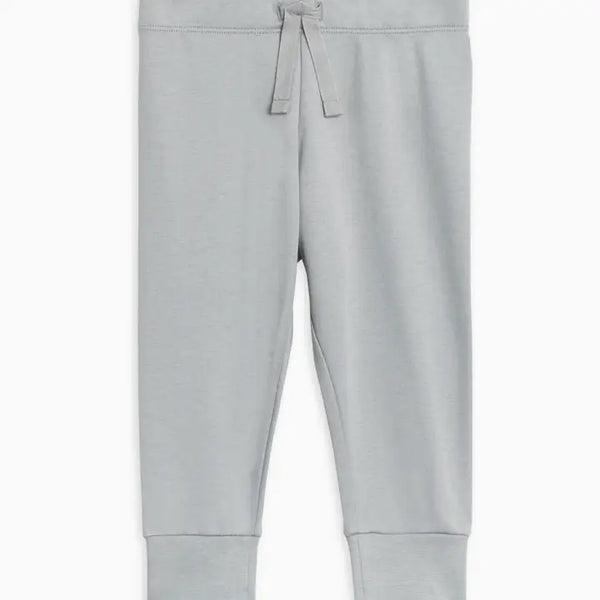 Hoodie/ Jogger Set | Mist