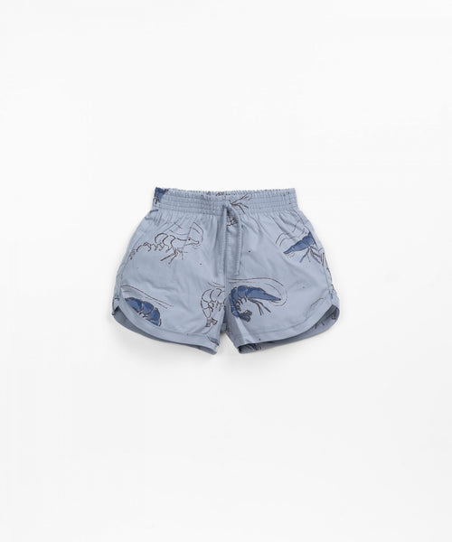 Organic Cotton Swim Shorts - Blue Prawns