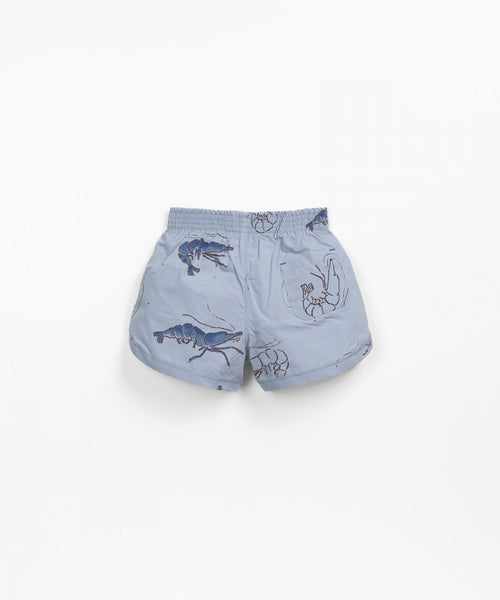 Organic Cotton Swim Shorts - Blue Prawns