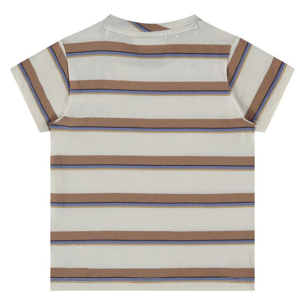 Baby Boys T-Shirt - Mocha Stripe