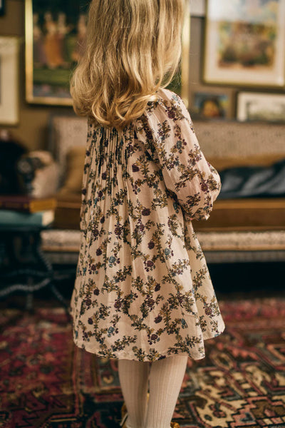Charlotte Dress | Harvest Toile