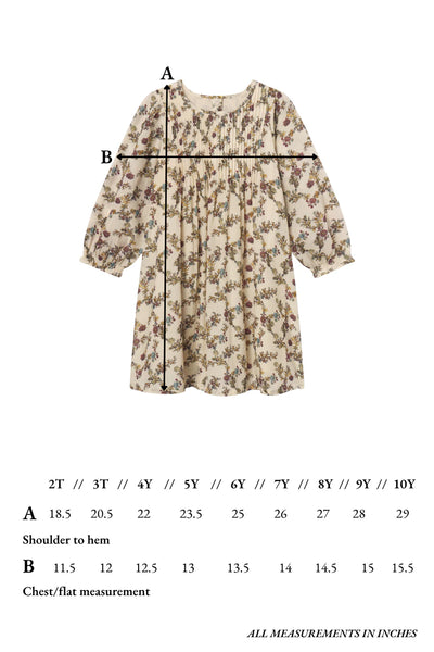 Charlotte Dress | Harvest Toile