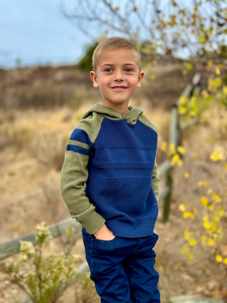 Pedro Striped Hooded Sweater