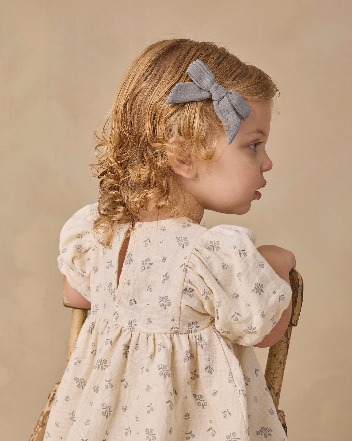 Francy Set - Winter Berry