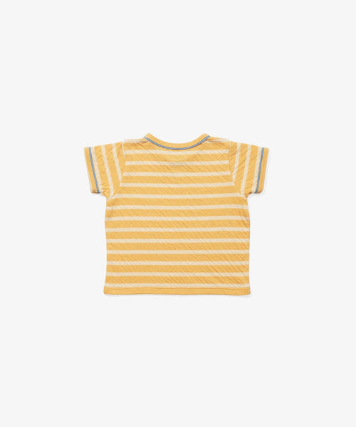 Willie Baby T-Shirt - Yellow Stripe