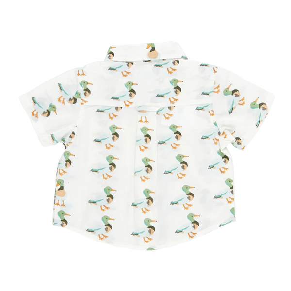 Baby Boys Jack Shirt - Mallard Friends