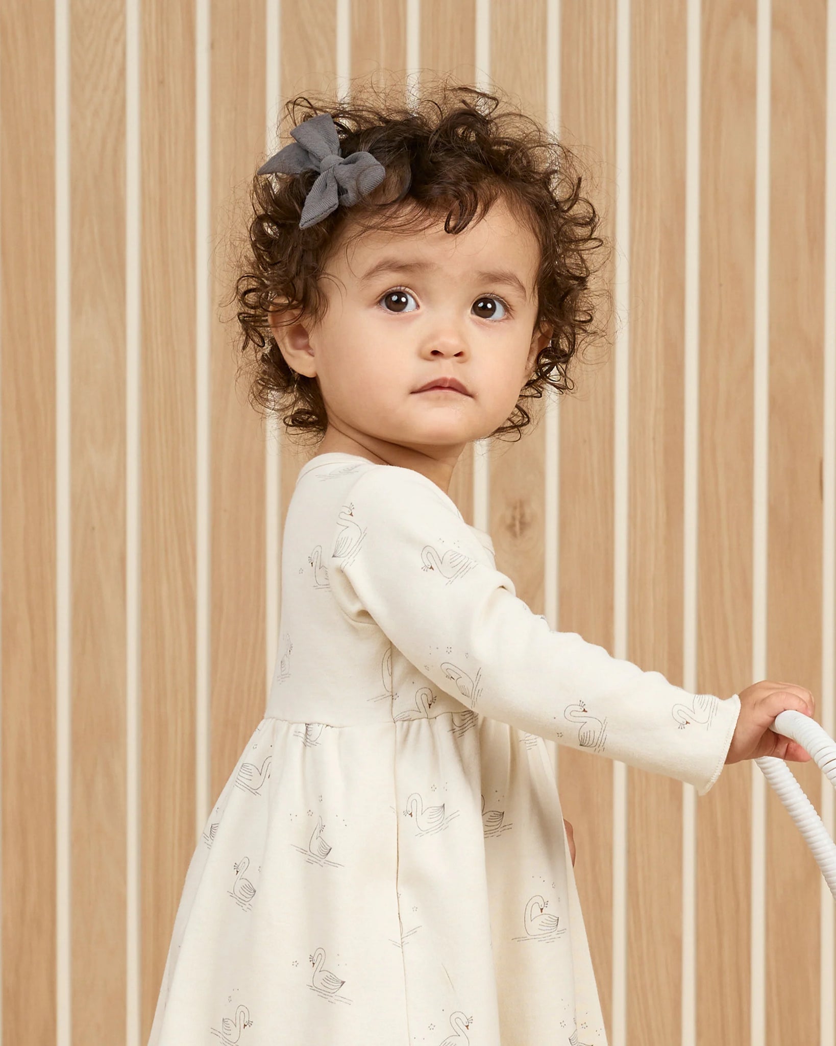 Long Sleeve Baby Dress - Swans